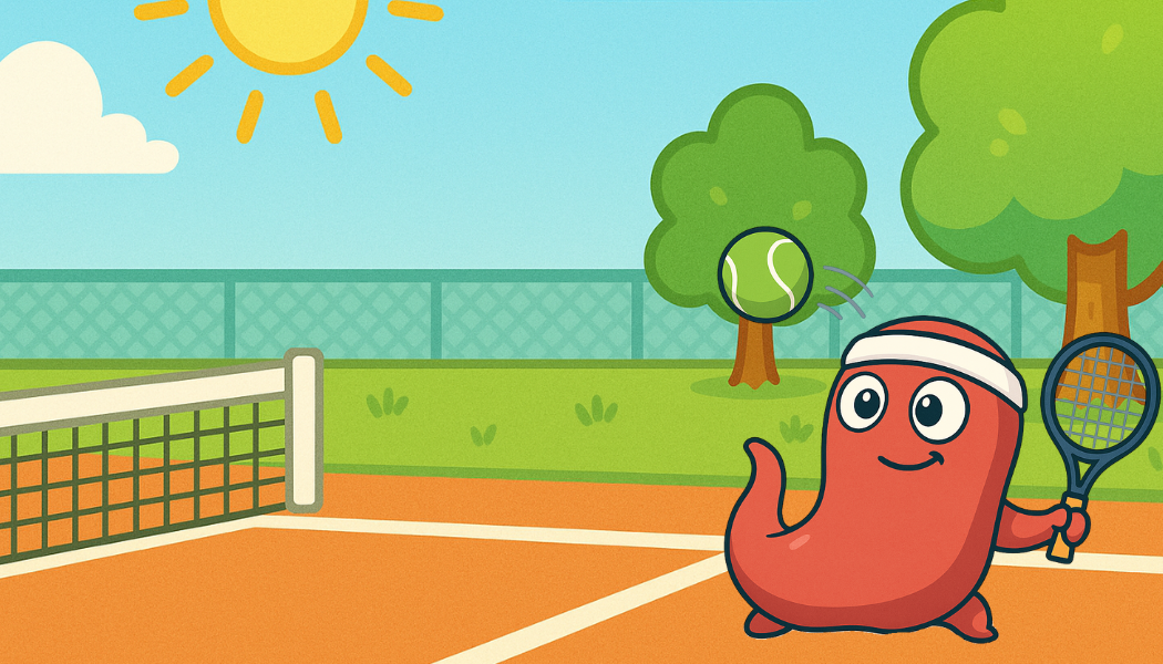 Sports de Raquette